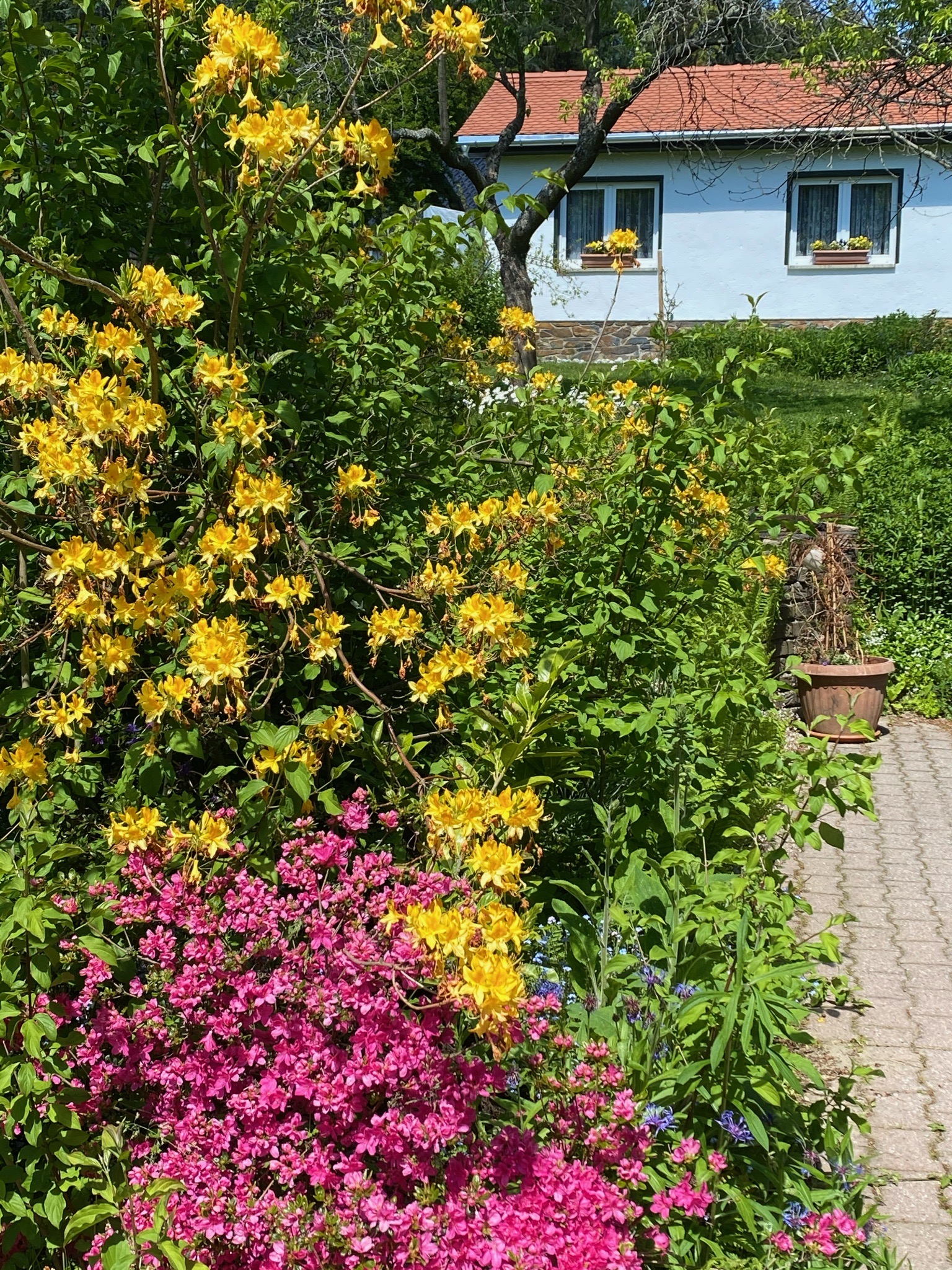 BBDA0F54 1956-479D-BE9E-C8A6BBB89468.JPG