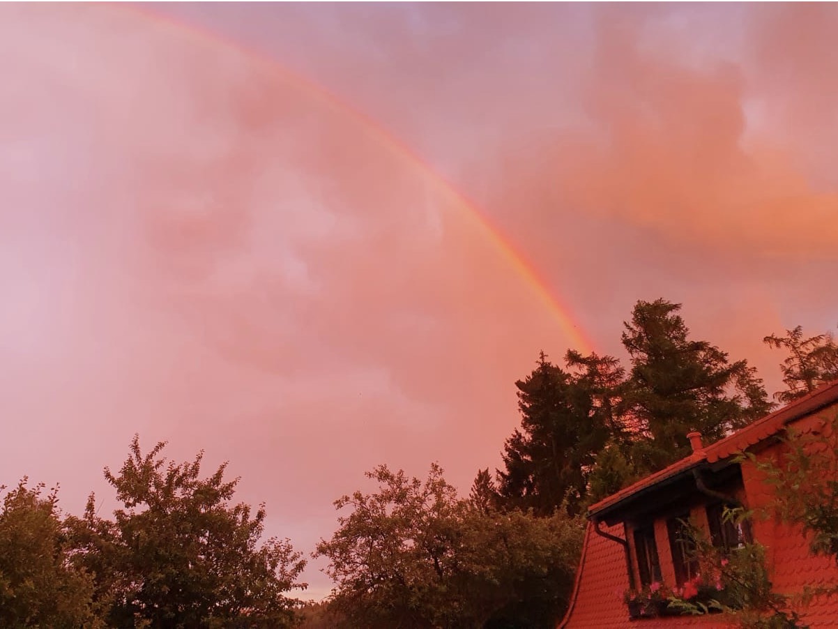 5278011D F10A-42C0-9B38-4710F9967D03.JPG