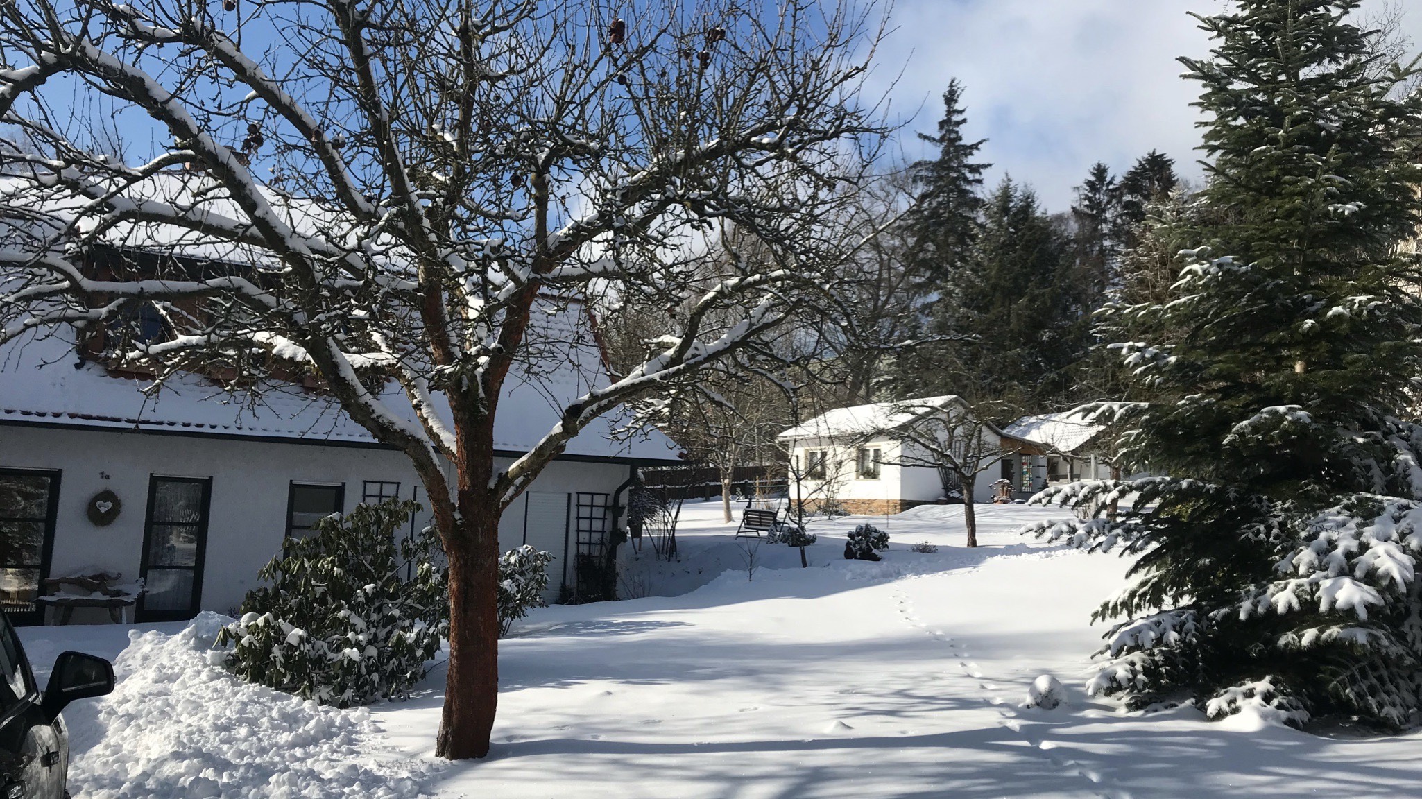 D8239FCD FFF8-4DA8-B613-6FB2D9C13D3B.JPG